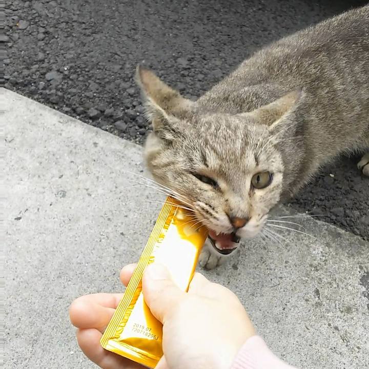 Ec99ac85 62f0 43d3 83a8 4609458e2715 1525233147158