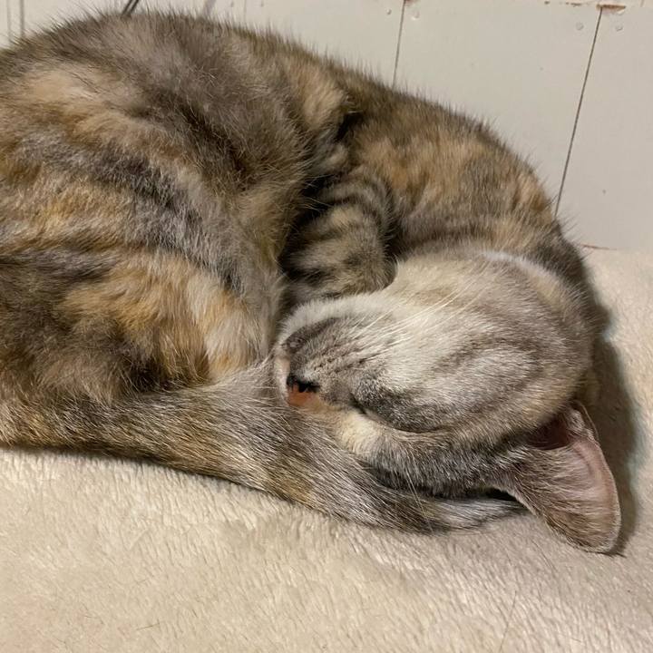 Ec99bf55 9d7b 43d9 9cca df99be202353 1681651371387