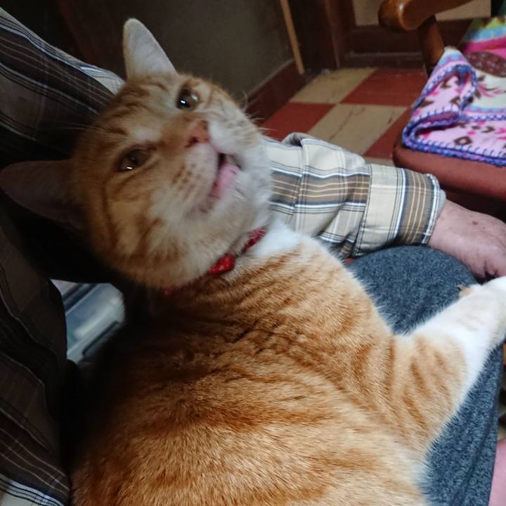 Ec99db53 59dd 454e b683 8a0928bf3205 1579685647806