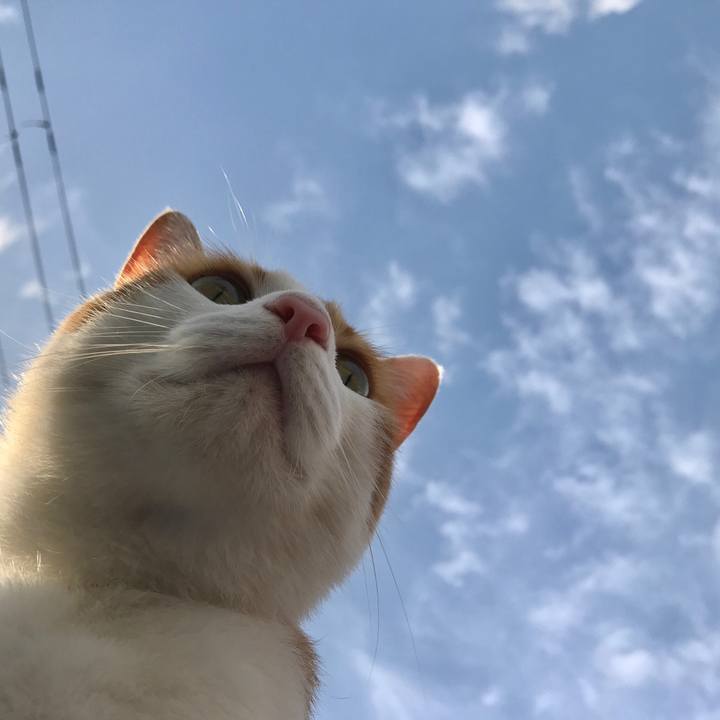 Ec9a31f3 3c72 42b9 8f8a f4c0478e114a 1531475200683