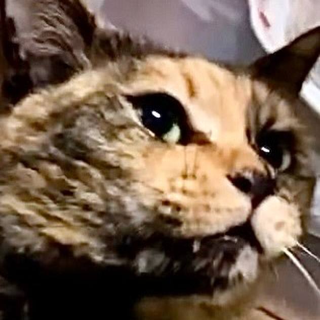 Ec9a539b ab39 414c af91 4a43e7697132 1743077325285