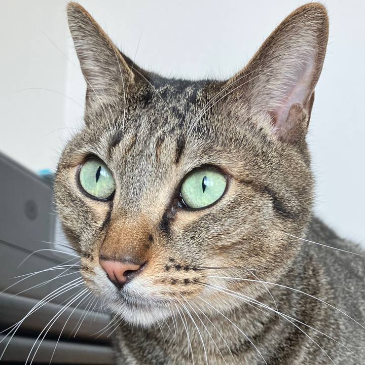 Ec9a7d3a 016e 4ee7 bdcf 5b8dcb0441b4 1762559752713