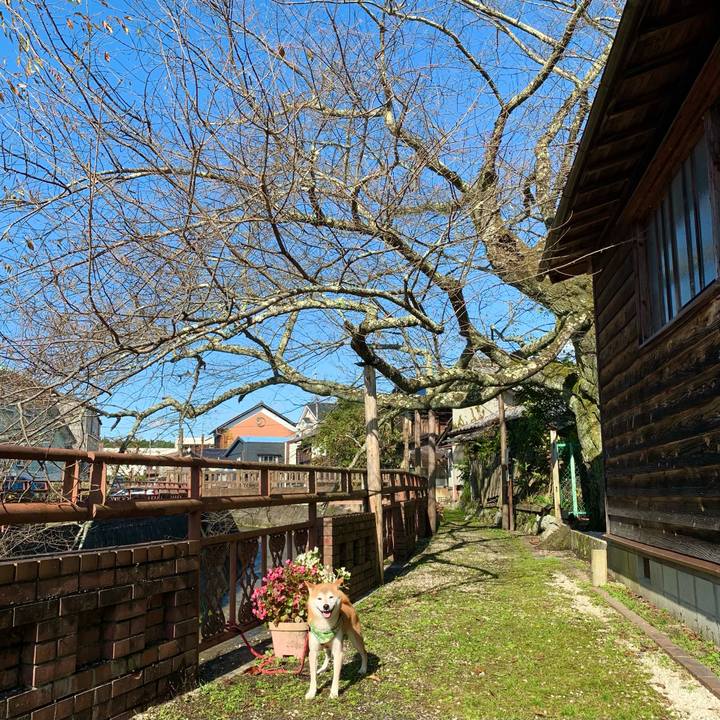 Ec9aafcd f24d 4eb2 a71a d02b6cc159fd 1635331431135