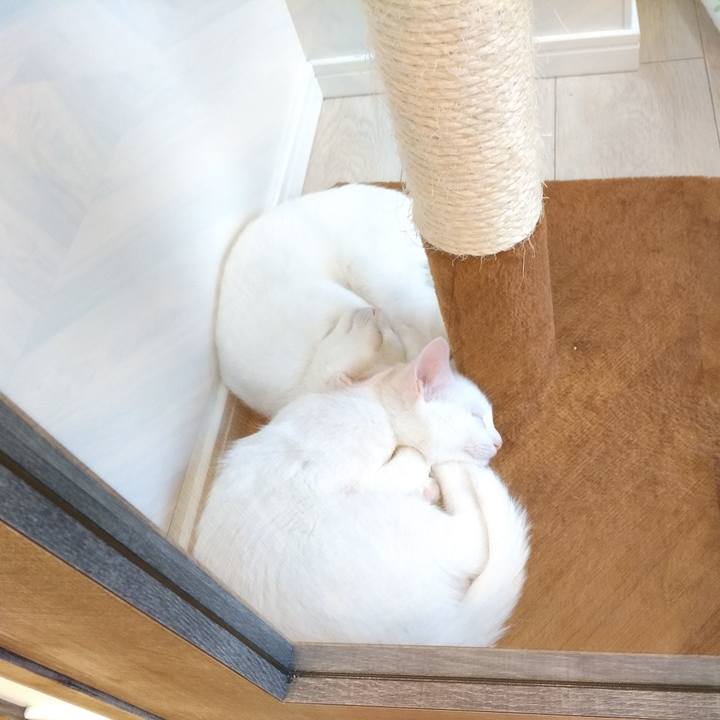 Ec9ae111 d4f2 4f2f 8b04 18b0f1f76771 1572755141915