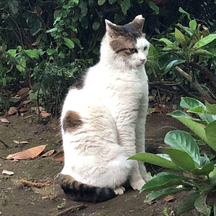 Ec9af827 90a3 4db6 85f0 723a4f03f0e6 1527861001204