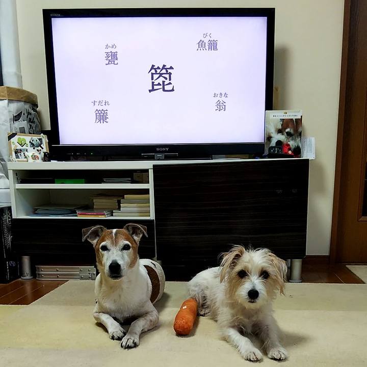 Ec9b4182 abde 499c b277 16ae20f75fc6 1554242938571