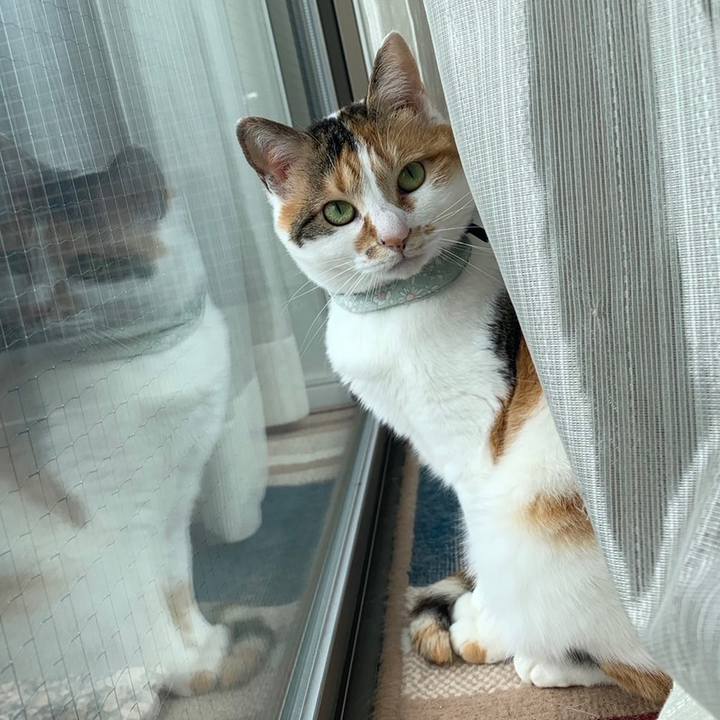 Ec9b4e83 6c4b 405c bbac 8d9ef934ccd0 1680811814391