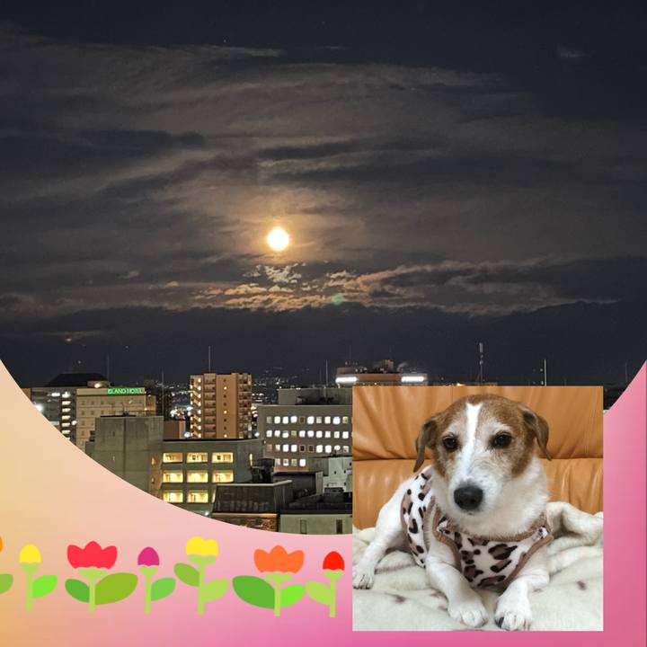 Ec9b6e33 1682 46c3 a40e 395eb4e9a876 1645091233733