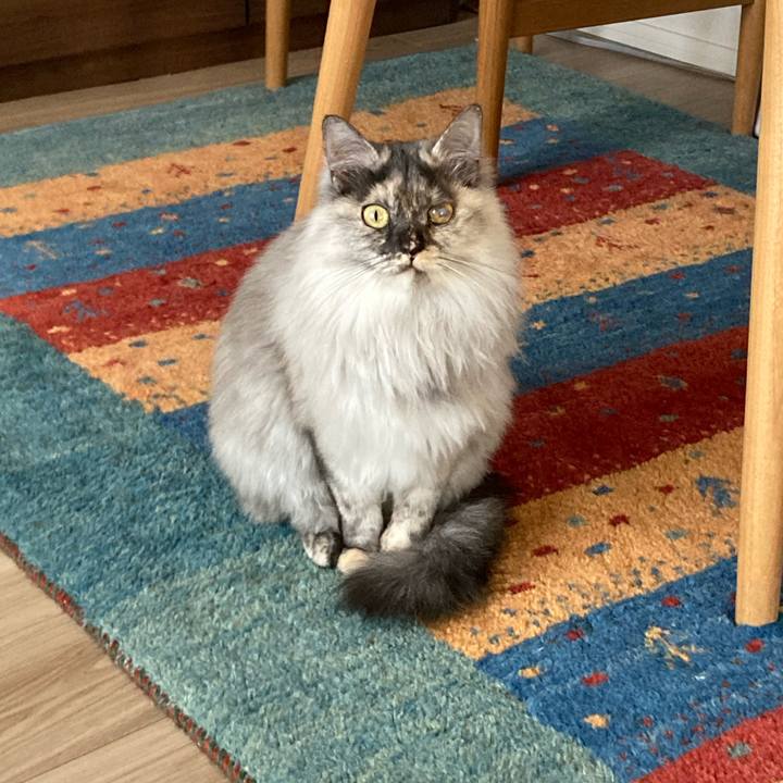 Ec9b84eb da8e 48fc 86ea ebdb9a988fe6 1734758318352