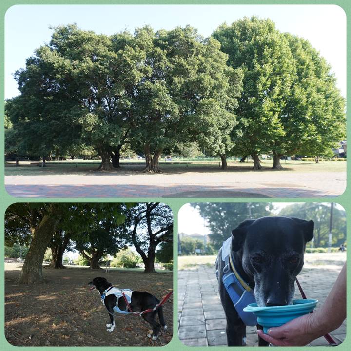 Ec9bada6 e5ab 4dec 814c b4a997cb2f3b 1756513790438