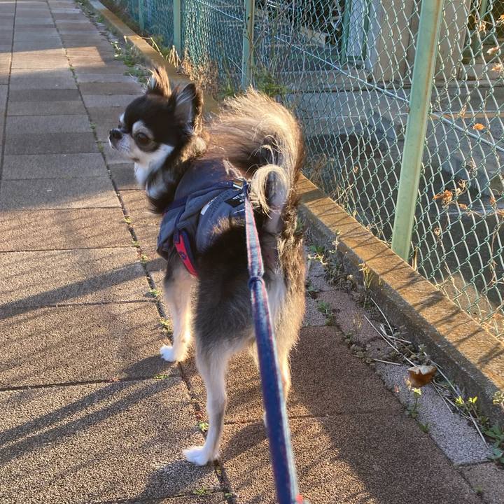 Ec9bba79 0edd 4975 b12c 57e4f6bdaec8 1711210622378