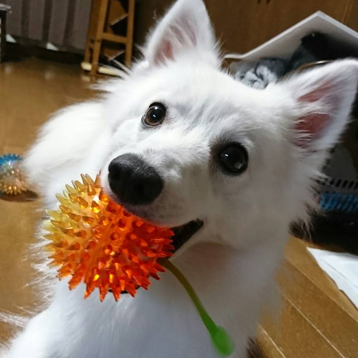 Ec9bc80e d367 4e15 95c9 5cabbef5370b 1508670662254