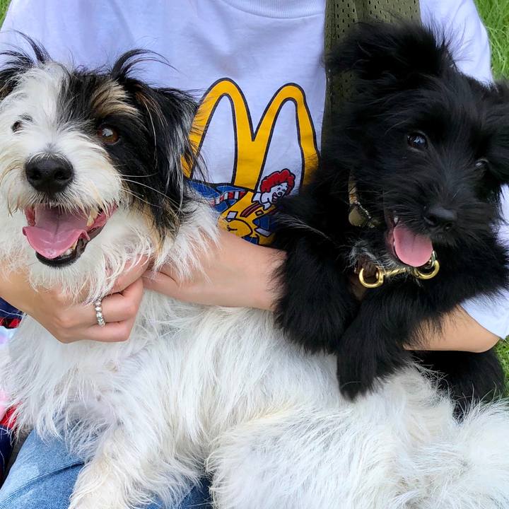 Ec9be201 6f9d 4c7a 87b7 f33f88111e66 1531435862553