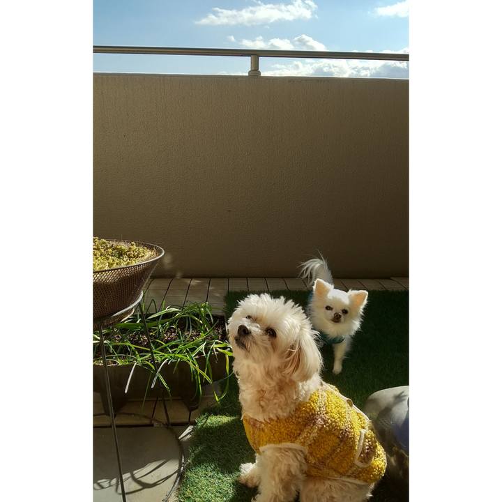 Ec9bfa0e 758e 4b9a 9288 a136943ccc66 1644557338201