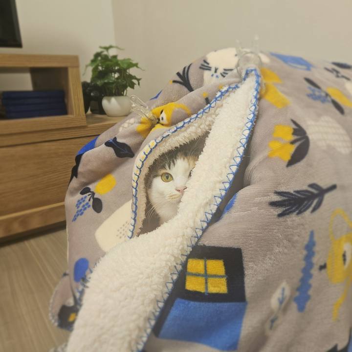 Ec9c6f39 83f9 4e44 a5ae cddfdbfef7bc 1769220497018