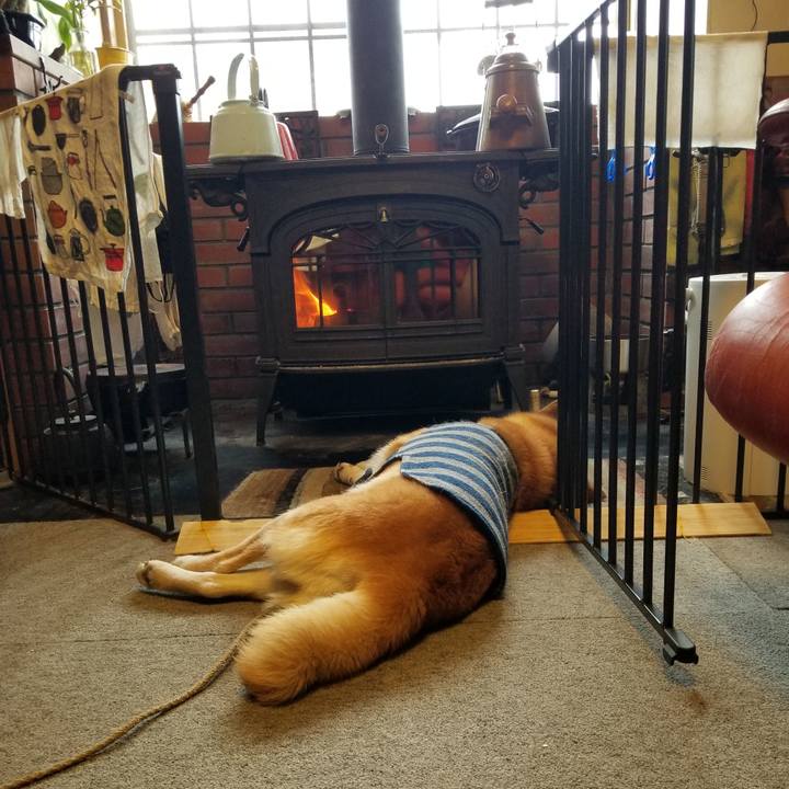 Ec9cbd7a 7468 4a61 9888 0737a40f8d05 1644017610781