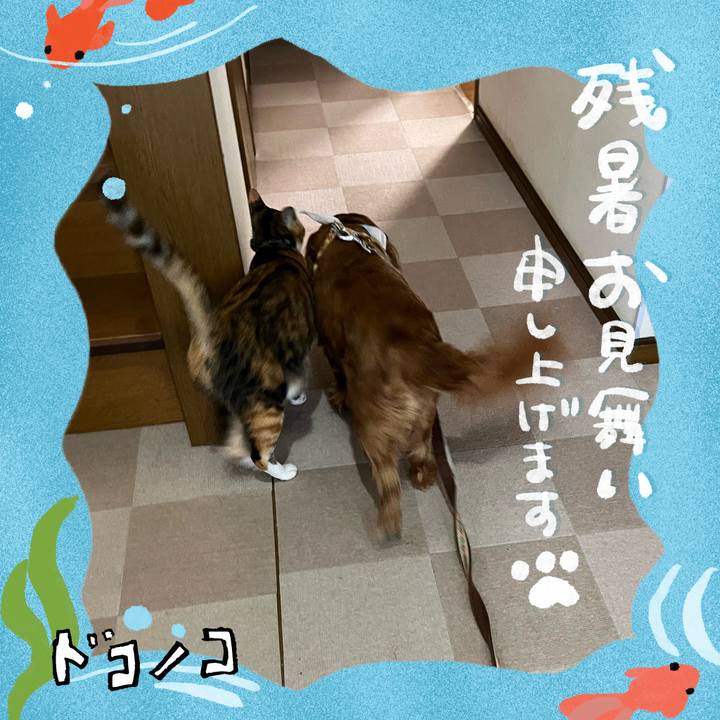 Ec9cc925 3432 47c6 9c77 2be6653812de 1723244431178