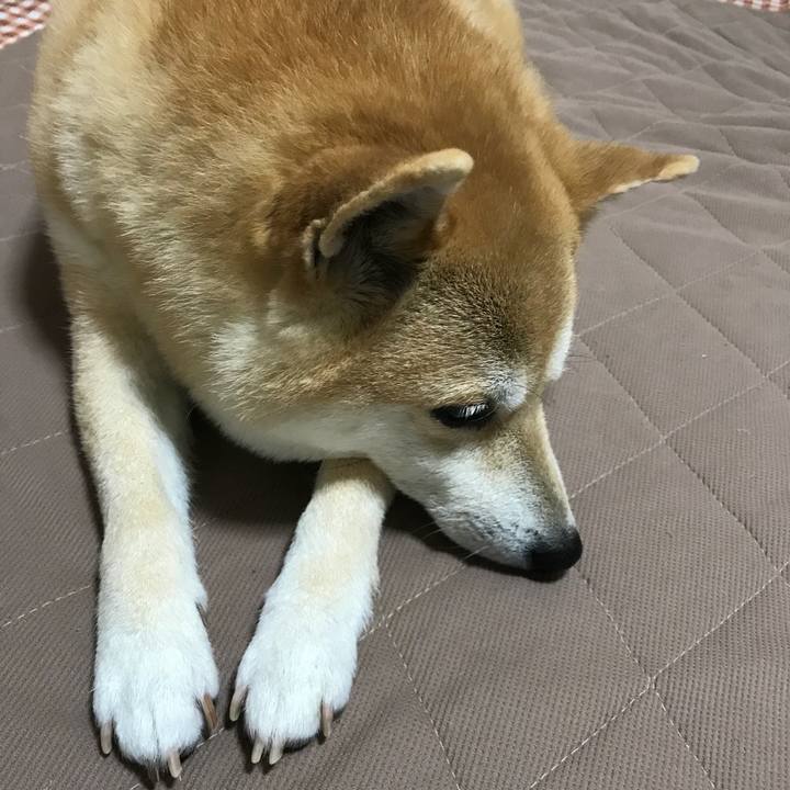 Ec9cd09e 97b7 4ac5 89d9 7681bbc85162 1525650630654