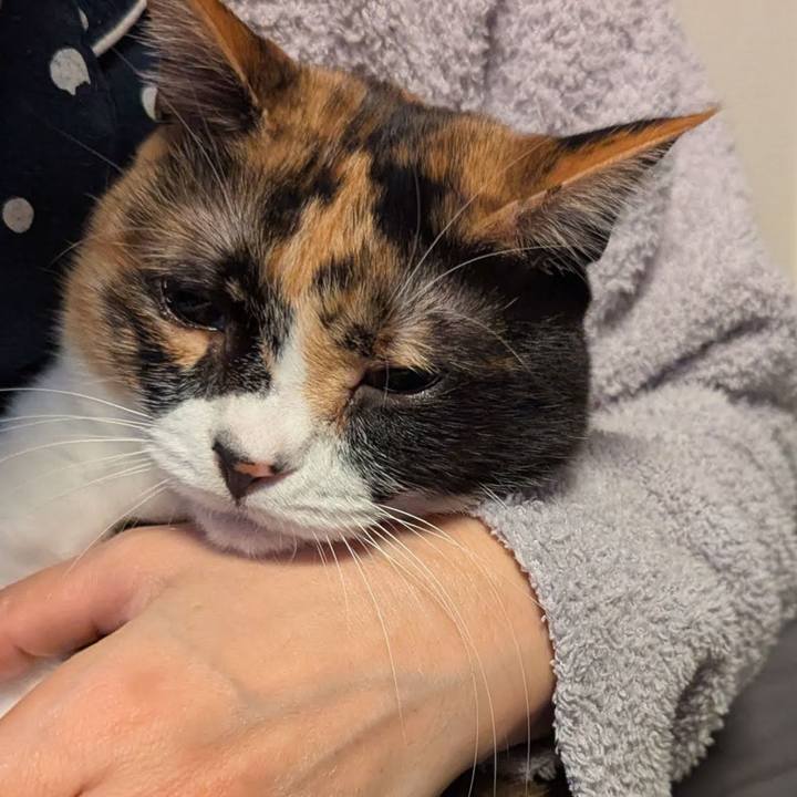 Ec9cdb6e c0c0 4505 9cb6 6515f7f4c81d 1765945425676