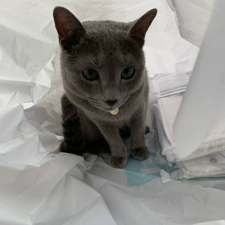 Ec9cf387 2884 46d6 b902 d9839db91ff4 1617402394470