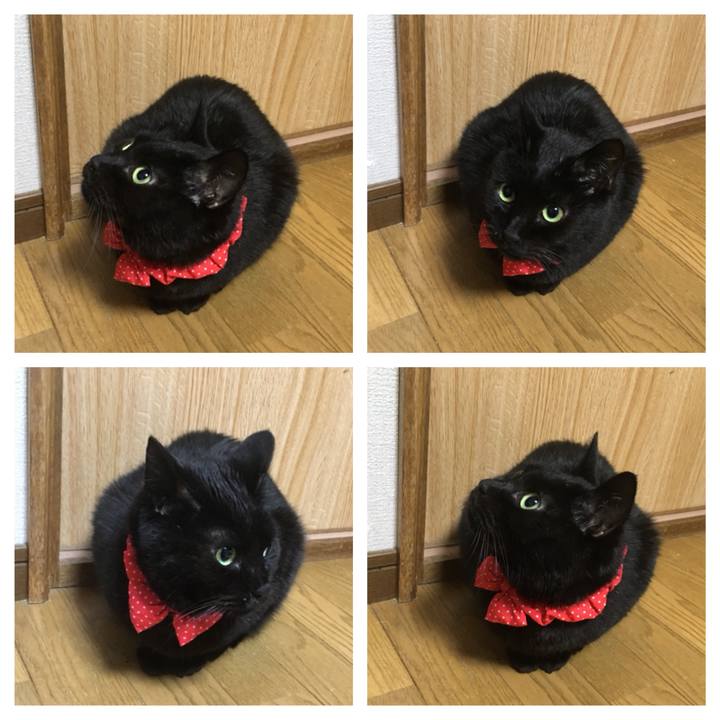 Ec9cf466 ca78 45d8 8827 dc51c2f1db84 1546336220027