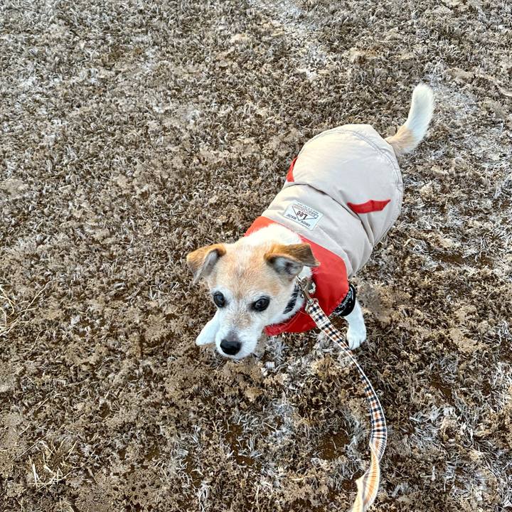 Ec9d5ef1 6c98 4e40 9835 588ec2fde45a 1676415604549