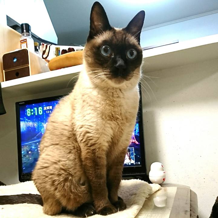 Ec9d649f a887 488f b912 9984df0ccf22 1545168354786