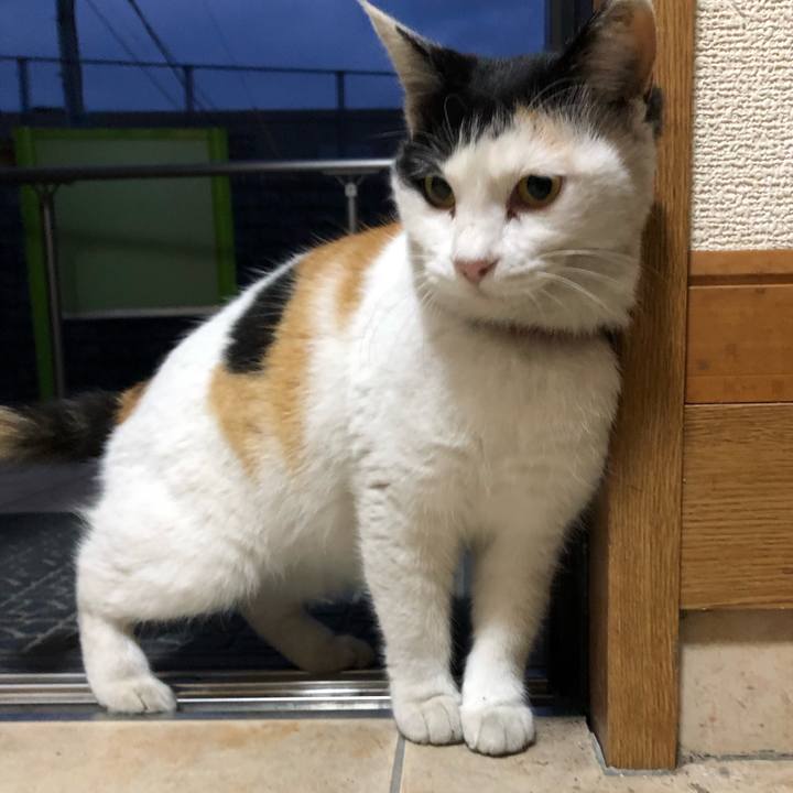 Ec9d7715 1630 4ec1 a0c5 3a576454d7d6 1607725355876