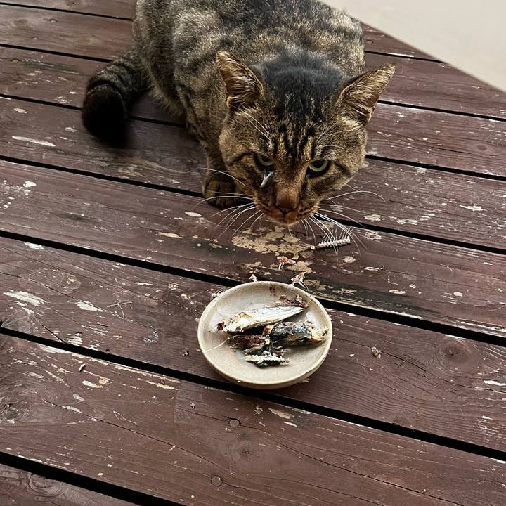 Ec9d8535 8695 404f b358 012729b666ba 1727641470891