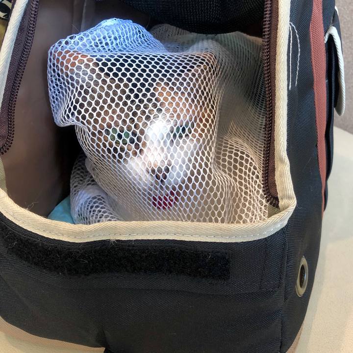 Ec9d9124 8f4b 42be 96b3 c611ed94ecfd 1566733916119