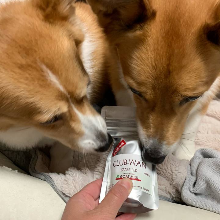 Ec9dc054 2a15 4b0a b29e bf04940805cf 1605421295545