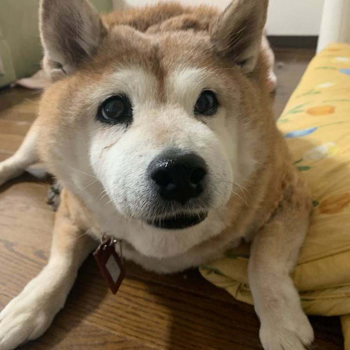 Ec9dc0f7 f6ed 439e a51d 6f4ab18c32a9 1608848572160