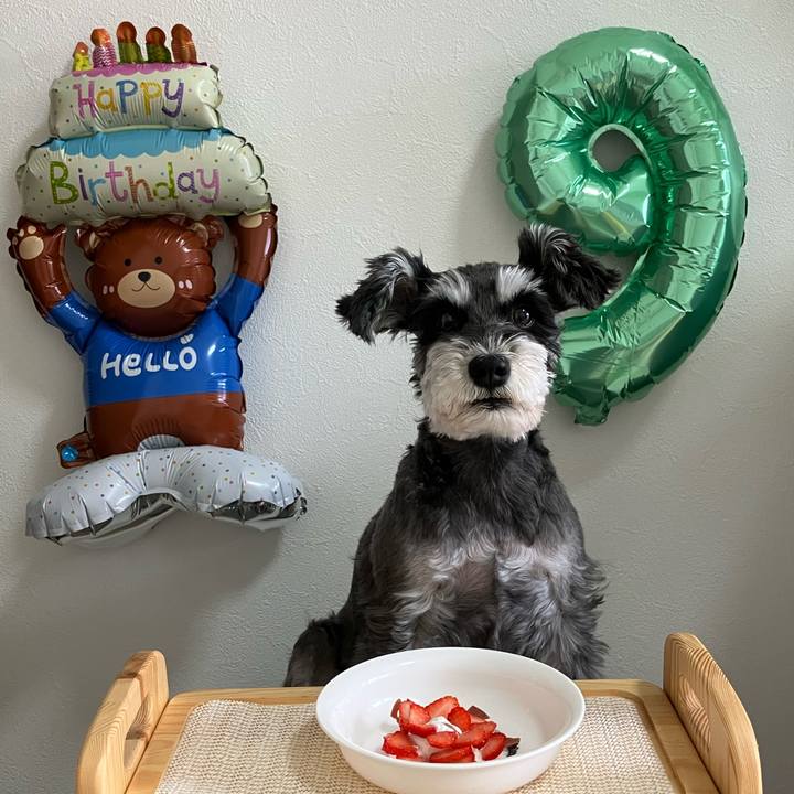 Ec9ddf38 d691 42ad 9e96 6b8cf12d4089 1747529324493