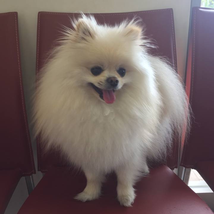 Ec9e02d6 fbf8 4bf1 8b12 3c0c4d4c15ee 1522983534753