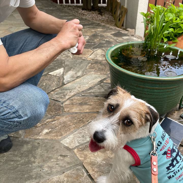 Ec9e0942 a4ac 46ef a839 3666e2cac4d2 1652527828350