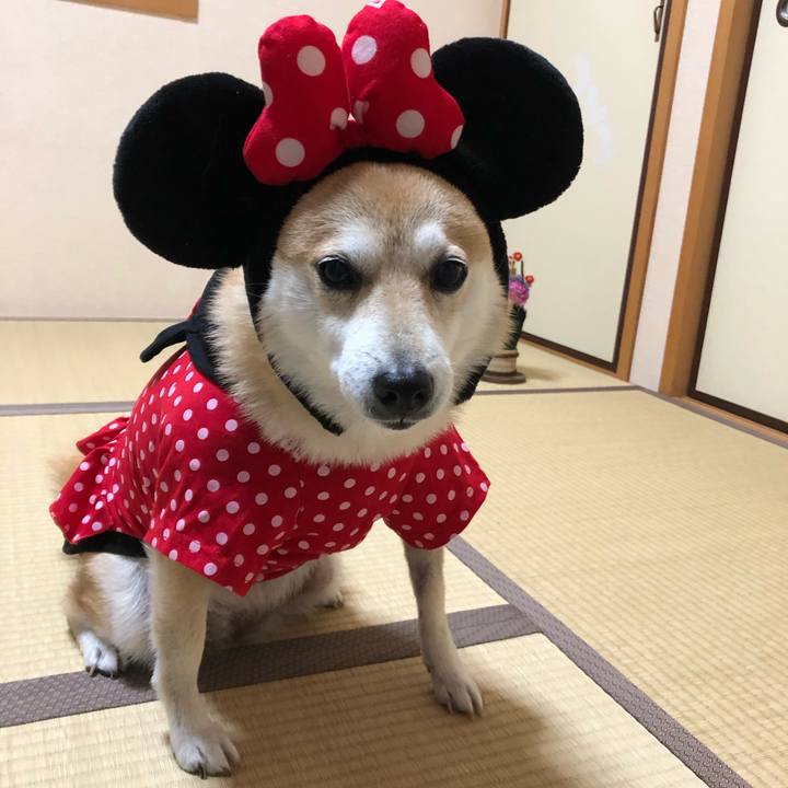 Ec9e094c fa0b 4ff9 b886 dfba2e8d43c4 1576140337744