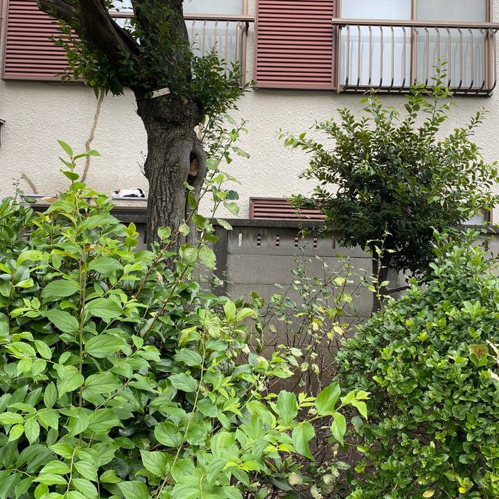 Ec9e1a5c 5d10 4c6e b057 6e13f7959201 1666507002152