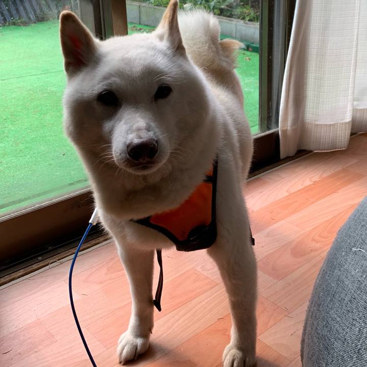 Ec9e301a bfd4 4ca3 bba1 9a921f268072 1637300807579