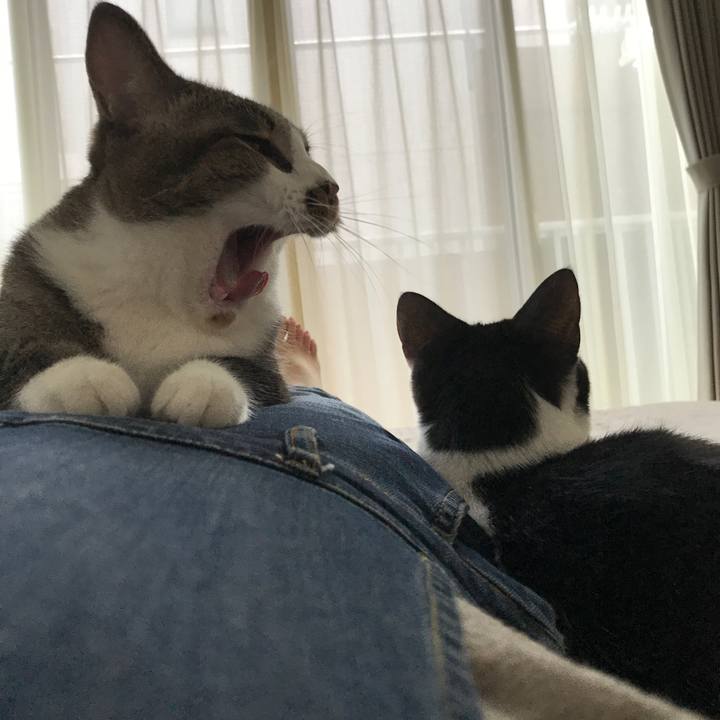 Ec9e456c 2c8e 4058 a0b0 3a9cb04c8f3f 1526209621954