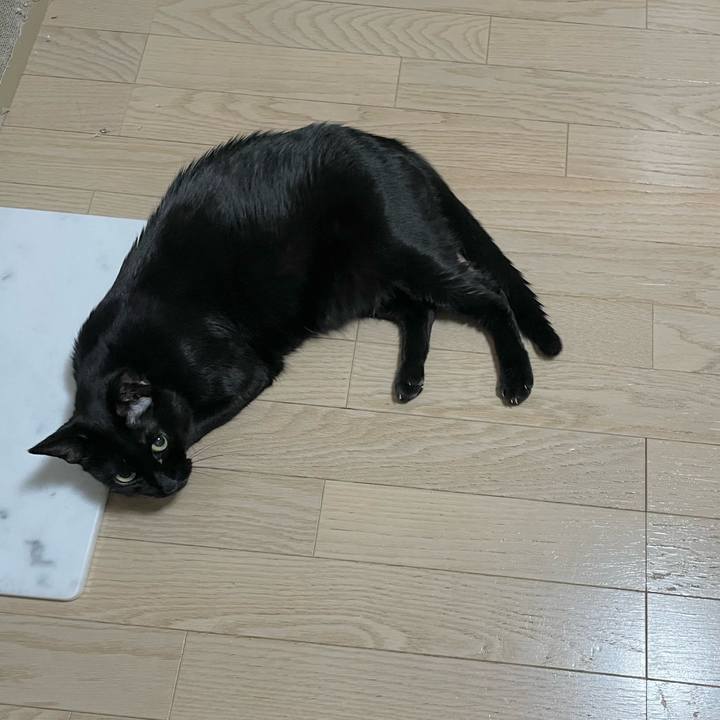 Ec9e4f45 7664 4458 a035 a74835ae7259 1695219125004