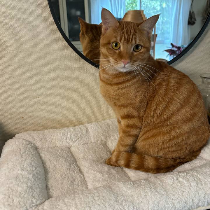 Ec9e53d5 3b04 4a75 be04 de429482050d 1703254610067