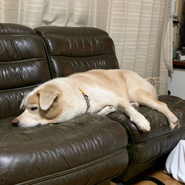 Ec9e862f d51e 4e55 b67d 639608e446c7 1600944793540