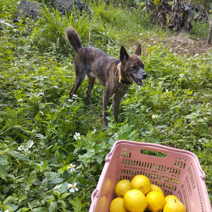 Ec9eb34b 5ccf 4311 be6b d00ba4b1517d 1703087452254