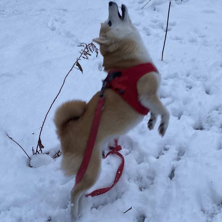 Ec9eba70 5270 46be a51f d68eaed71d55 1733523035266