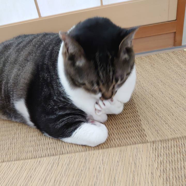 Ec9efe65 ae82 4b12 8b76 f82a5463dcda 1594876809548