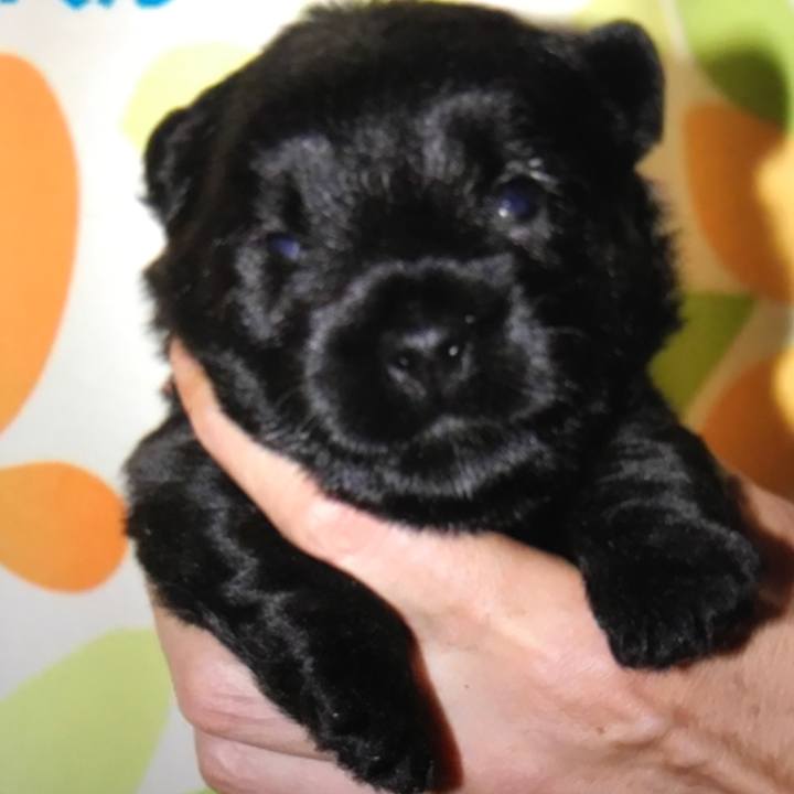 Ec9f0542 572e 4fca b95a 0bb39f61ab53 1535198652011