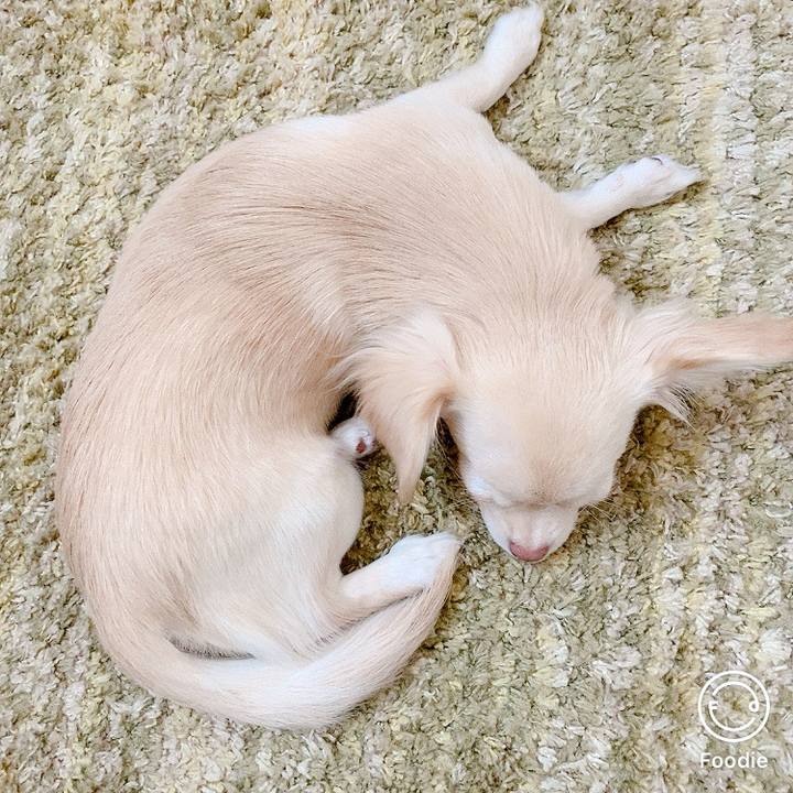 Ec9f0b86 a642 44b1 92b3 f9648ae11277 1601532817477