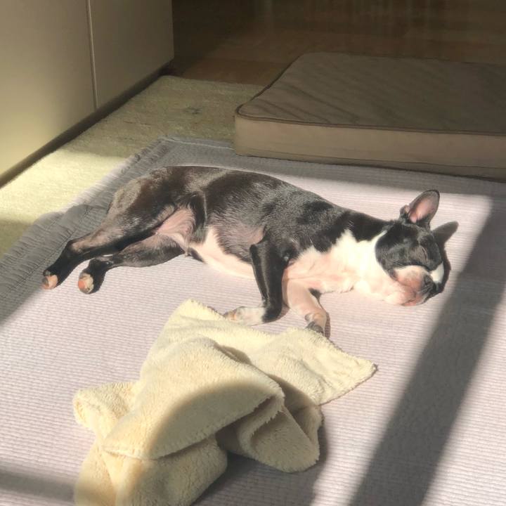 Ec9f4125 c39a 4813 b2ae df1668b2cd2d 1557529104929