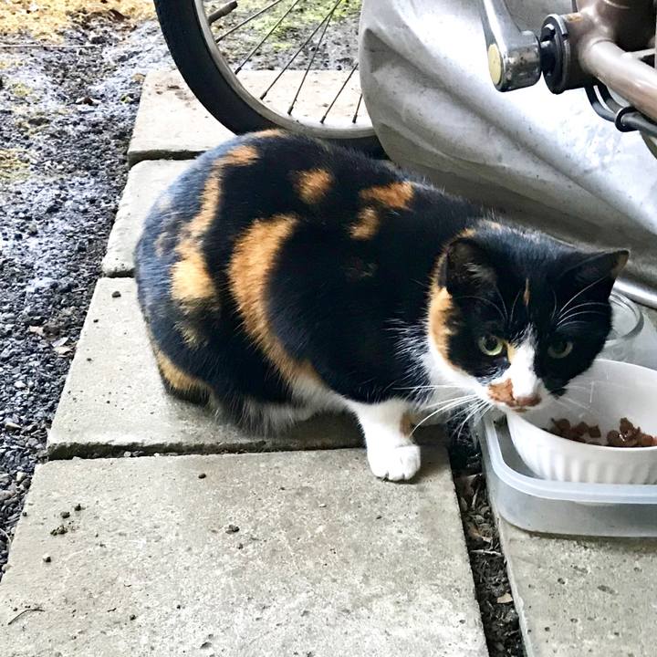 Ec9f68ec 0c99 4f0d 8380 306c29acb52c 1509681293721