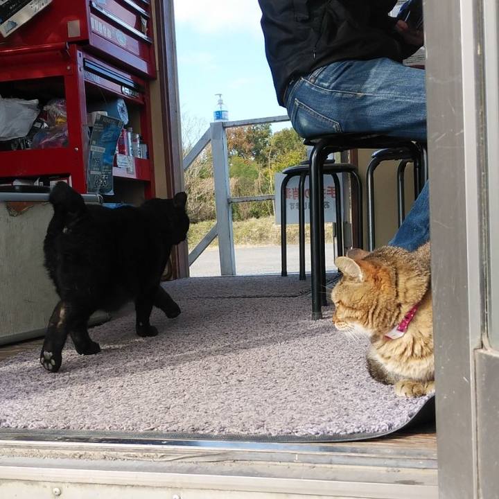 Ec9f766a bef4 45e0 aed0 b8df0c50d662 1605238021123